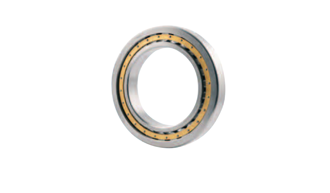 Single row cylindrical roller bearings GiB