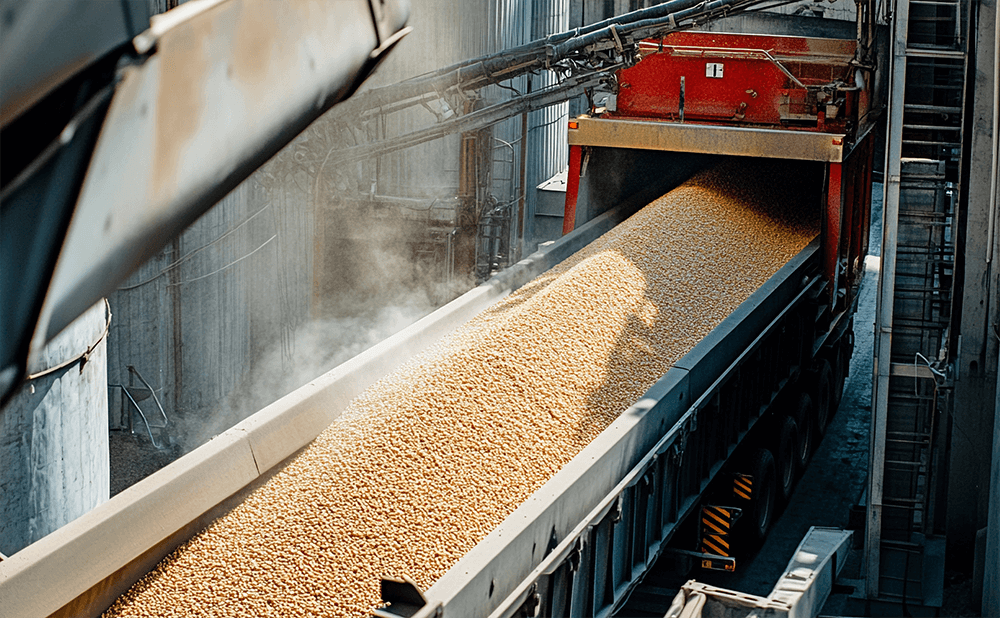 Swivelling bearing for grain handling machine