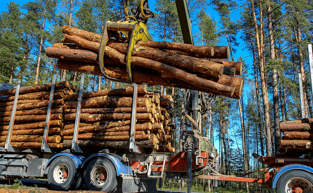 Swivel bearing for forestry truck